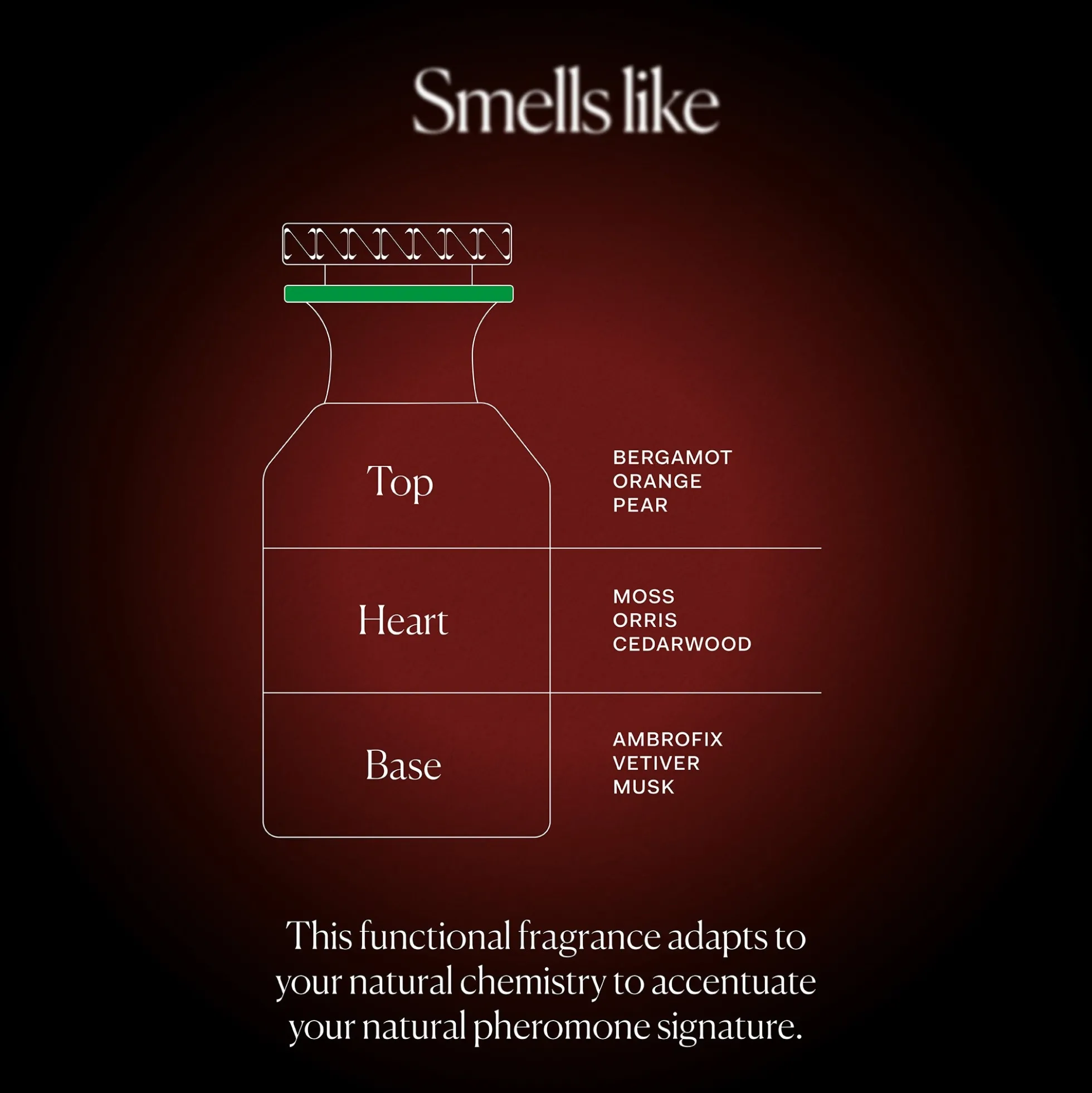 The Nue Co. Us Pheromone+ Functional Fragrance 50ml