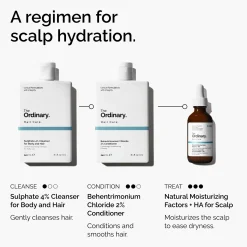 The Ordinary Hair Care Natural Moisturising Factors and HA 60ml