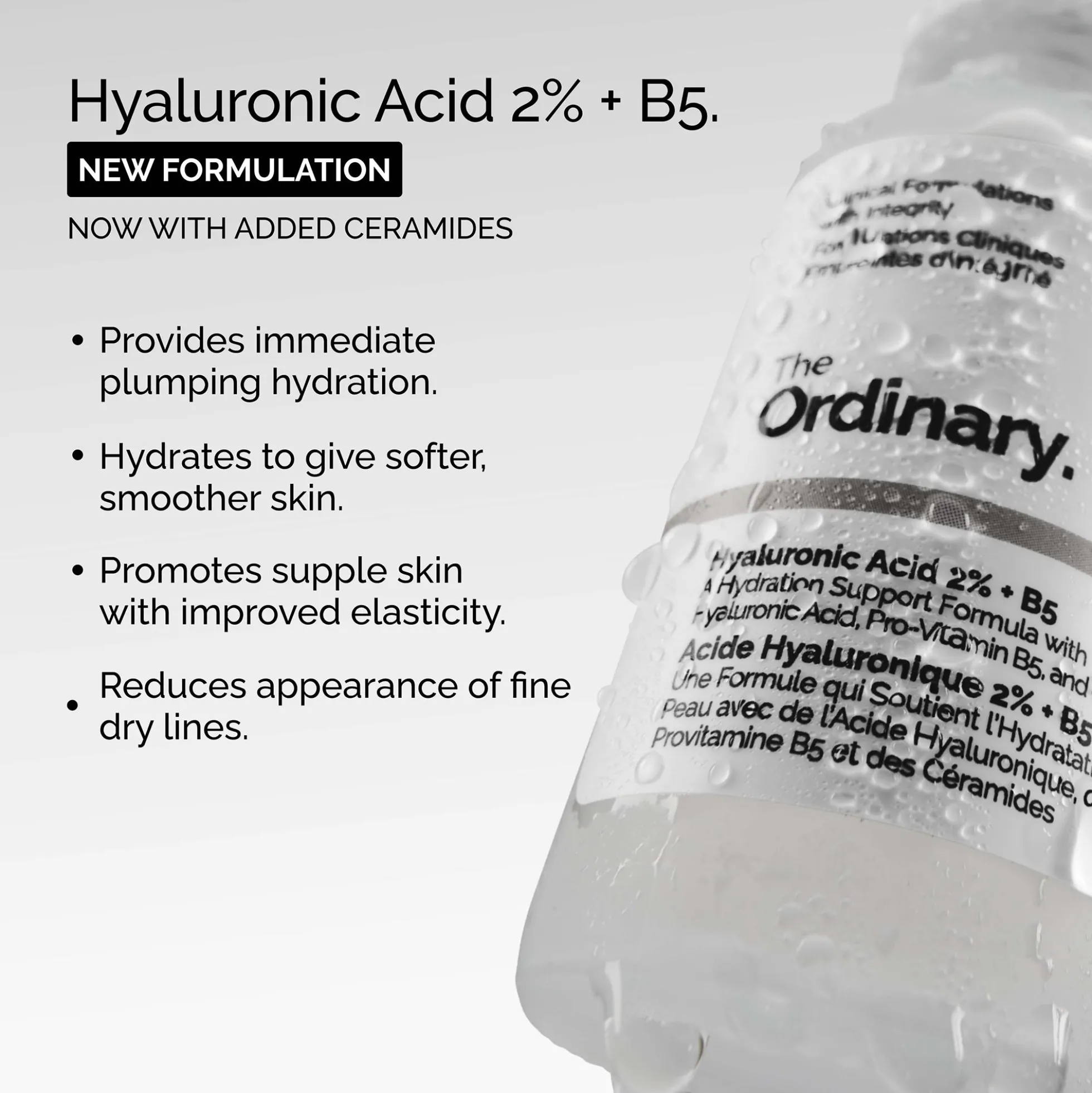 The Ordinary Hyaluronic Acid 2% + B5 Duo