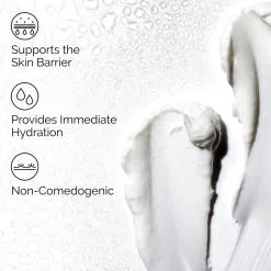 The Ordinary Natural Moisturizing Factors + HA 100ml