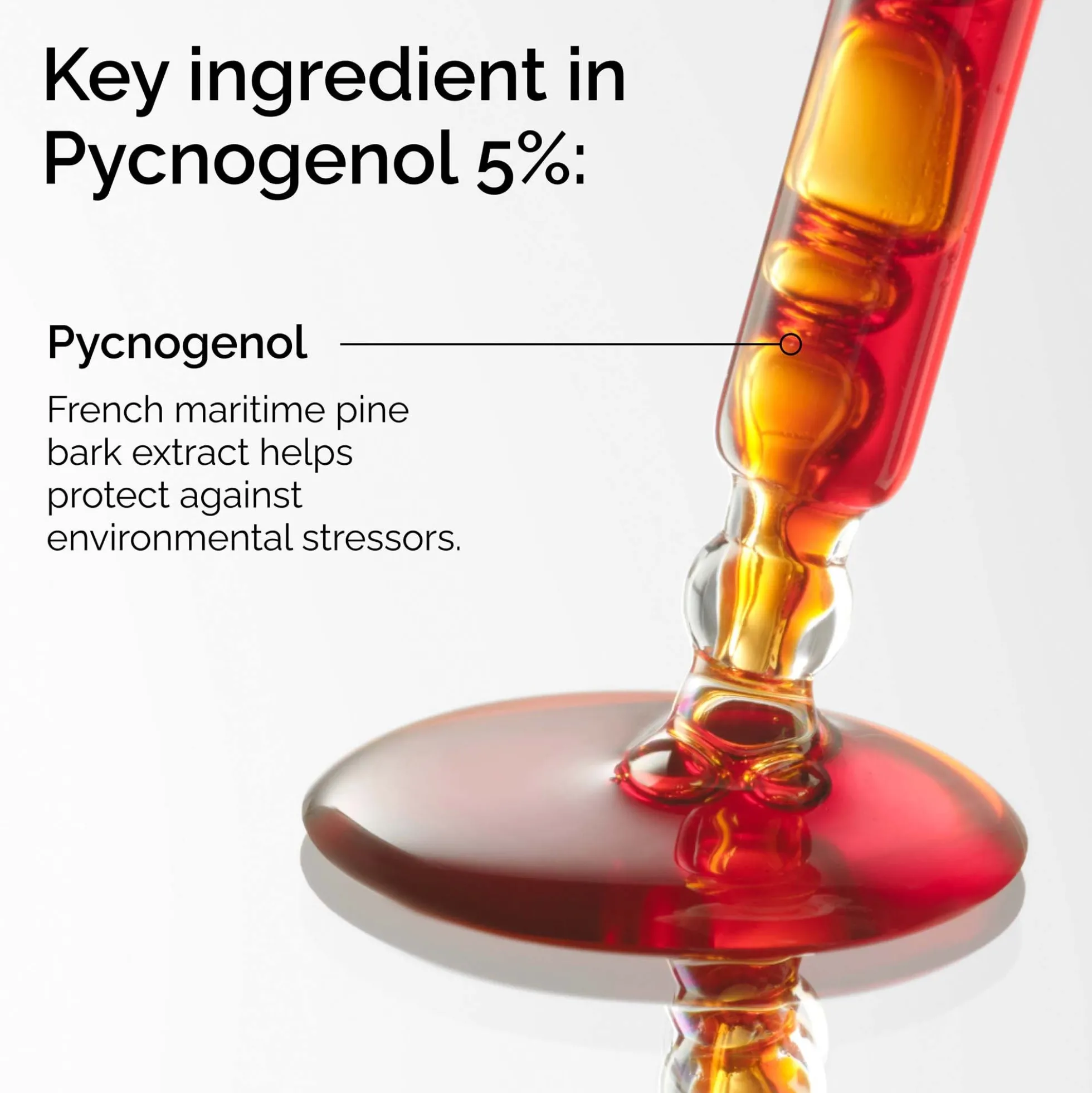 The Ordinary 100% Pycnogenol 5% 15ml
