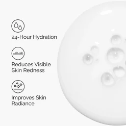 The Ordinary Rice Lipids + Ectoin Microemulsion Ultra-Light Moisturiser 60ml