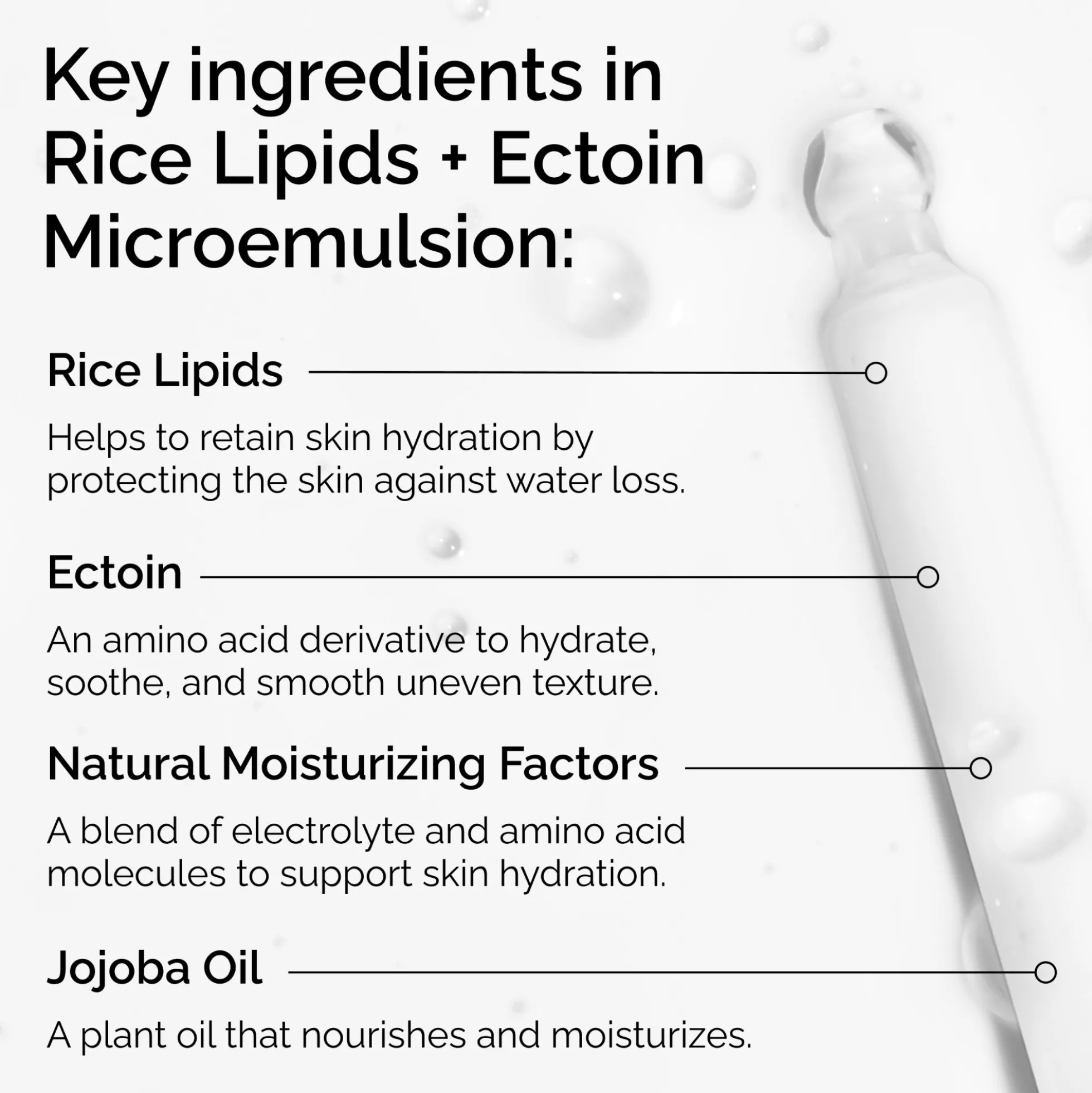 The Ordinary Rice Lipids + Ectoin Microemulsion Ultra-Light Moisturiser 60ml