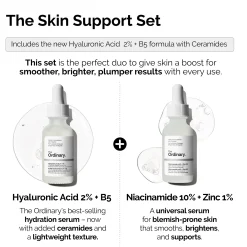 The Ordinary The Skin Support Set