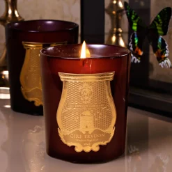 TRUDON Cire Classic Candle - Beeswax Absolute