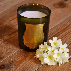 TRUDON Solis Rex Classic Candle - Versailles Wooden Floors