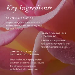 True Botanicals Mindful Mama Belly Oil 100ml