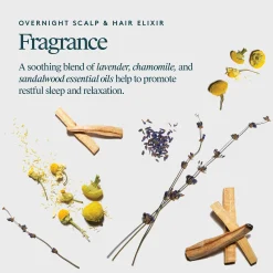 Virtue Overnight Hair and Scalp Elixir