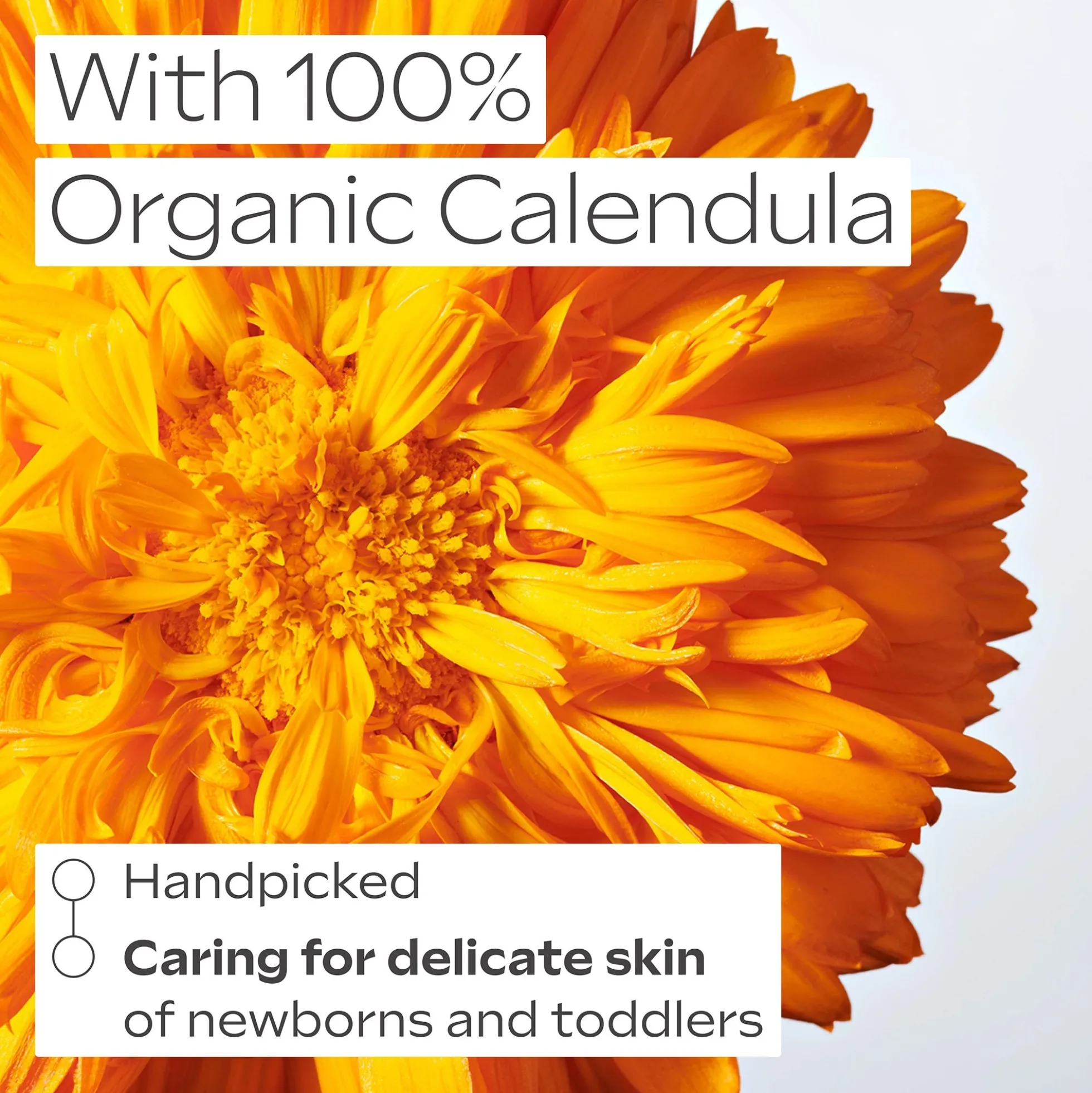 Weleda Baby Calendula Facial Cream 50ml