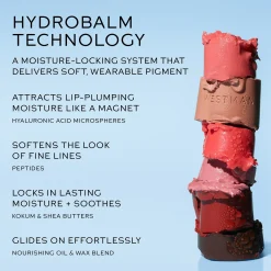 Westman Atelier HydroBalm Tinted Lipstick Refill 3.5g (Various Shades)